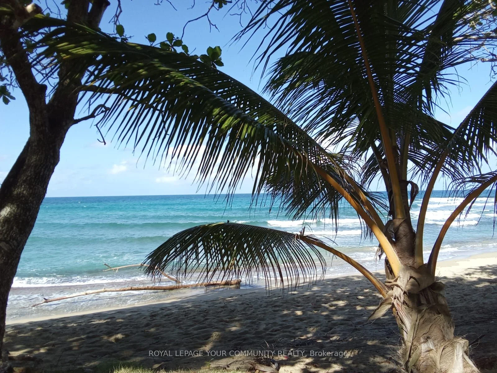 #f3 Maquey Cabarete Perlamarina, Dominican, 10702