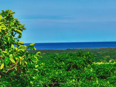 0 Pinilla Finca Heights, Costa Rica C1c 1r1